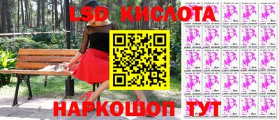 PSILOCYBIN Гатчина