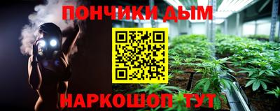 PSILOCYBIN Гатчина